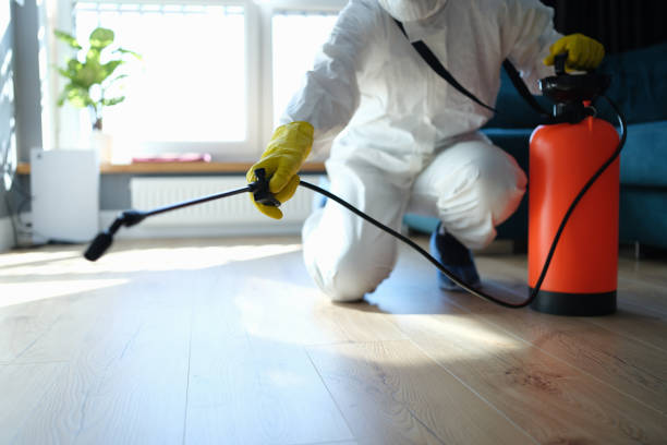 Reliable Odor Removal contractor in Bastrop, TX by Trauma Clean Pros